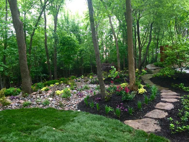 Backyard Plants Design Kansas City