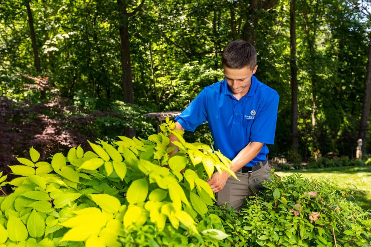 6 Reasons Why Your Landscape Needs a Fine Gardener