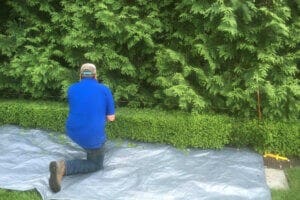 man pruning the shrub Kansas City